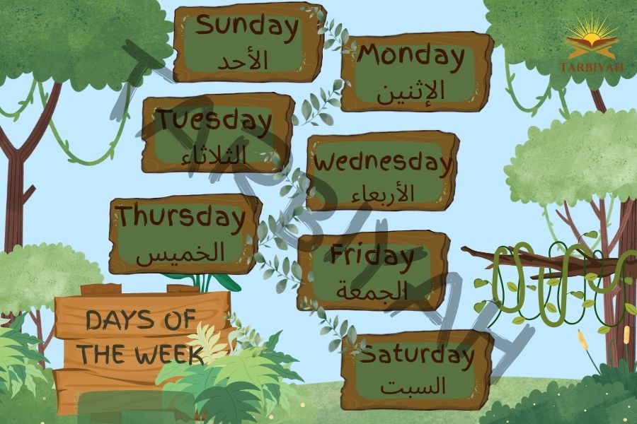 Days of the Week